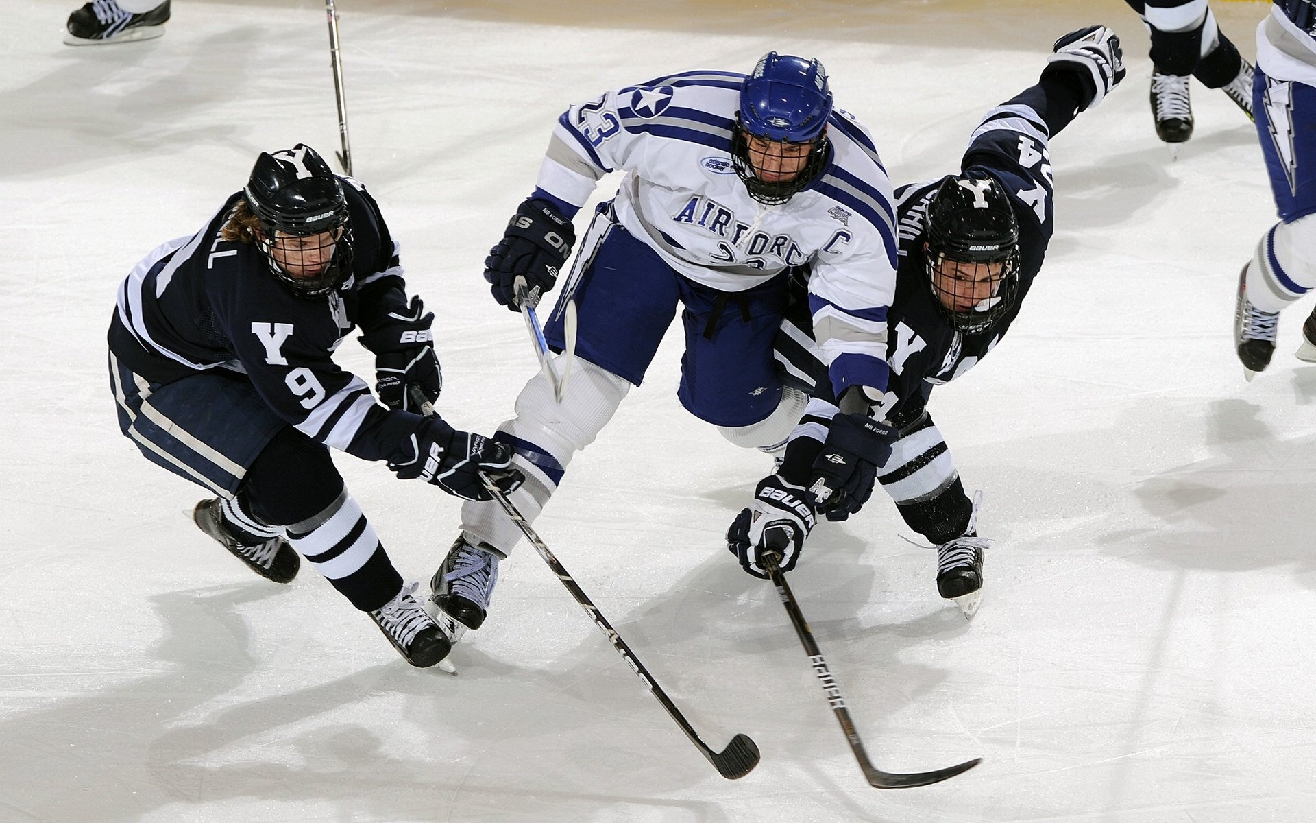 九游娱乐官网 (jiuyou)-中国冰雪中心举办国际冰壶裁判讲座，冰壶国家级裁判员